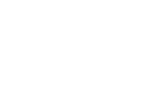 WHITE DIGIT